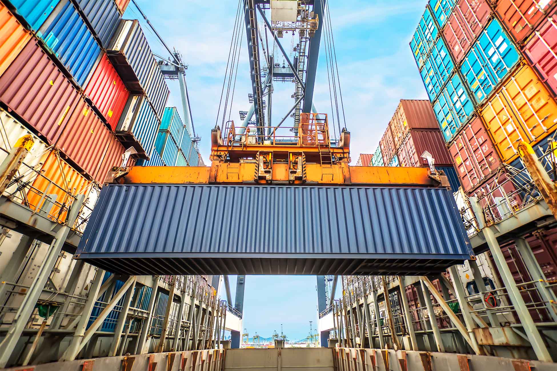 2022 global trade data tfg usa